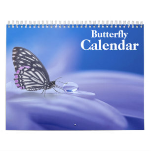 Butterfly 2025 calendar