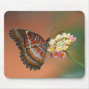 butterfly 2 mouse pad