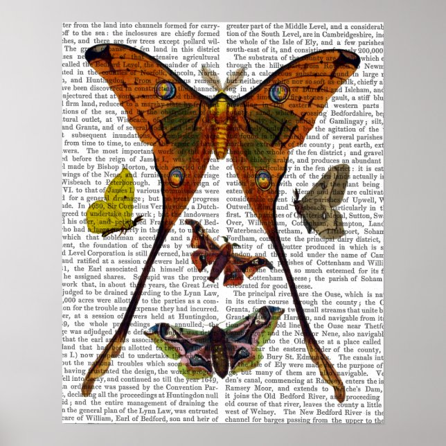 Butterfly 2 poster (Front)