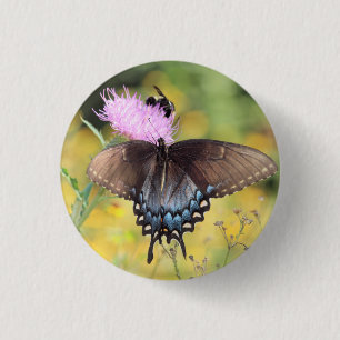 Butterfly 3 cm round badge