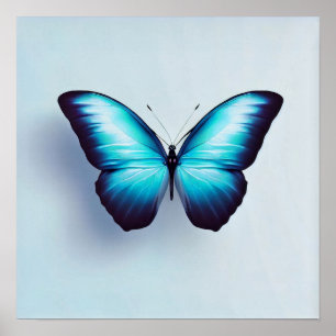 Butterfly Against White Background Poster