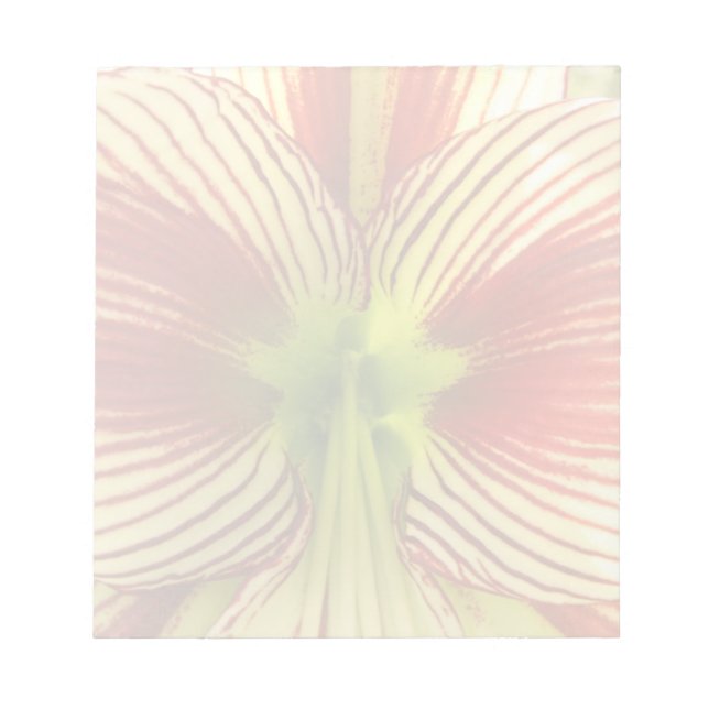 Butterfly Amaryllis Notepad (Front)