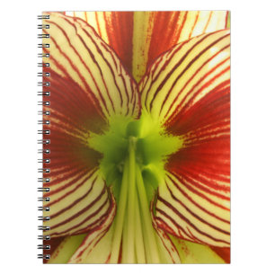 Butterfly Amaryllis Spiral Notebook