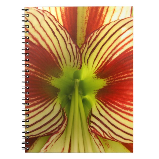 Butterfly Amaryllis Spiral Notebook (Front)