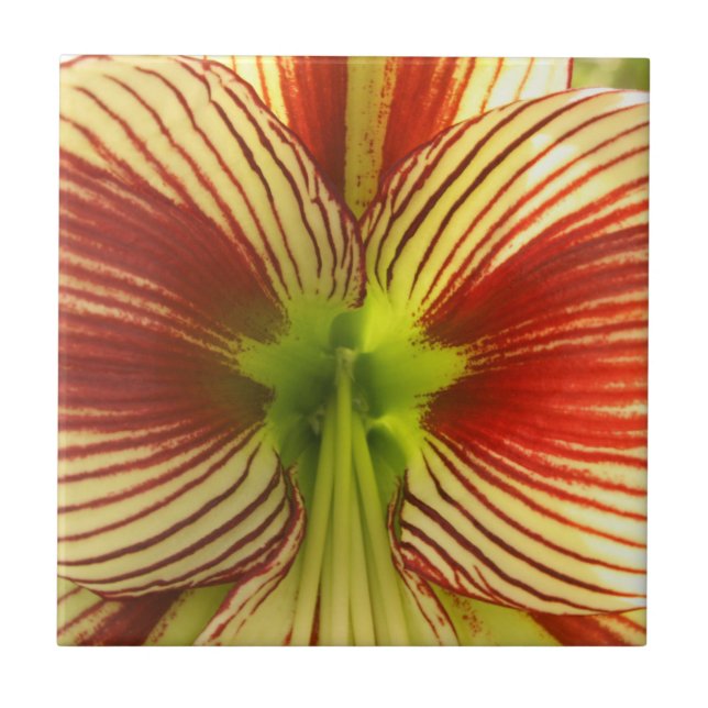 Butterfly Amaryllis Tile (Front)