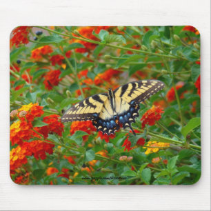 Butterfly Among Lantana Mousepads