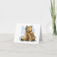 Butterfly and Bear Cartoon