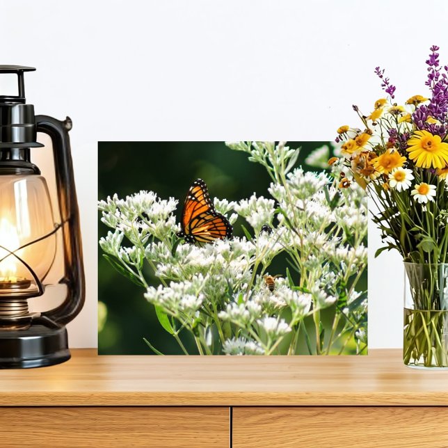 Butterfly and Bees on White Common Boneset Flower Photo Print (A beautiful orange and black monarch butterfly pollinates white native flowers with two bees helping)