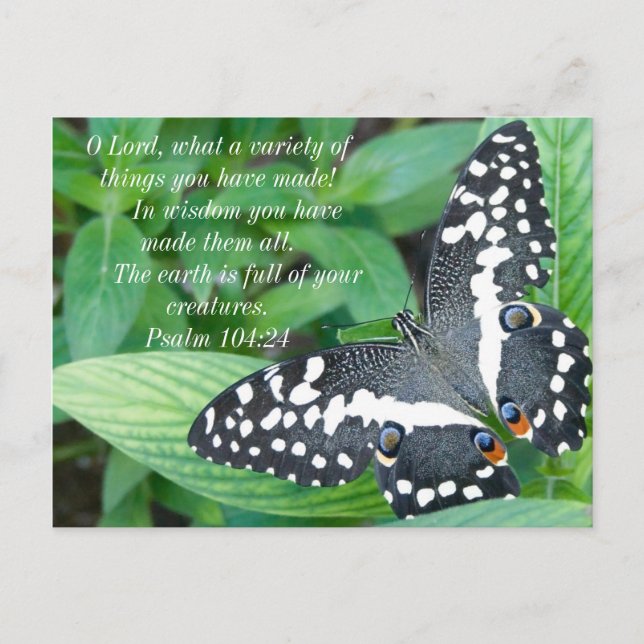 Butterfly and Bible Verse Postcard (Front)