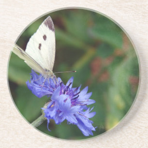Butterfly and Blue Flower Coaster