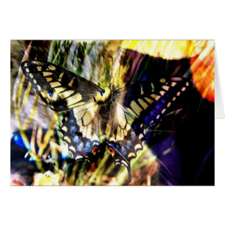 Butterfly and cat collage