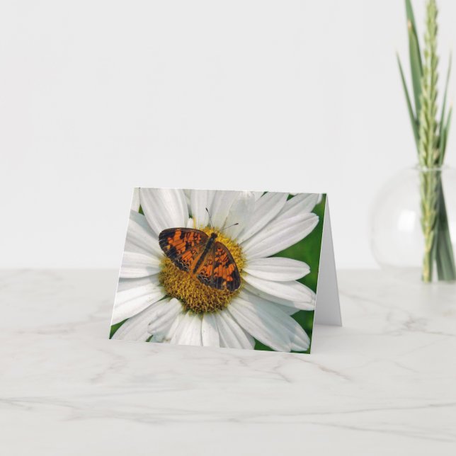 Butterfly and Daisy Note Card (Front)