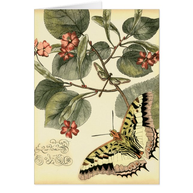 Butterfly and Dragonfly with Red Flowers (Front)