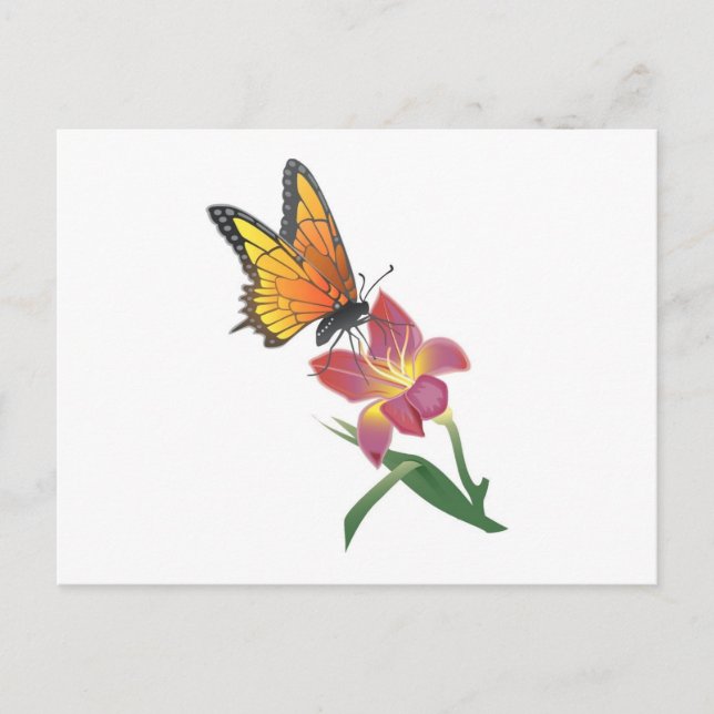 Butterfly and Flower Postcard (Front)