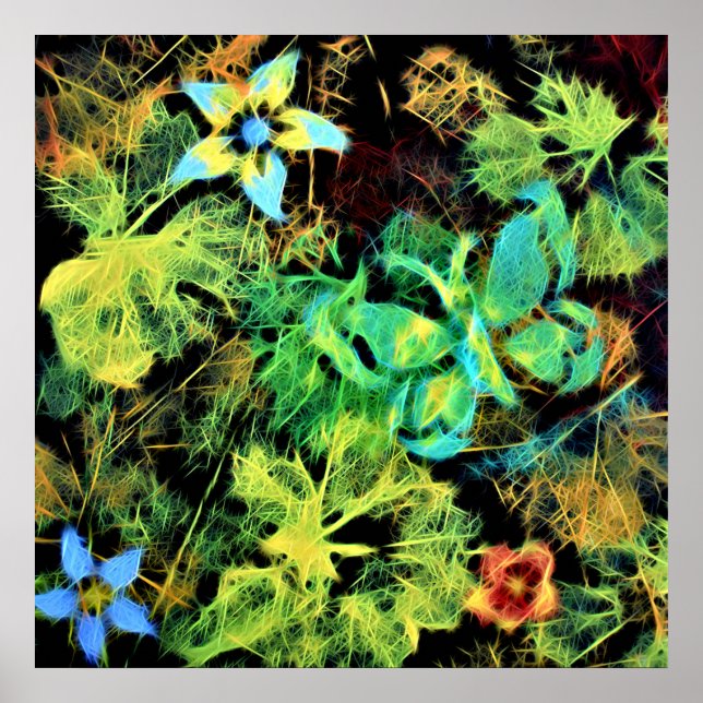 Butterfly and Flower Rodilius Poster (Front)