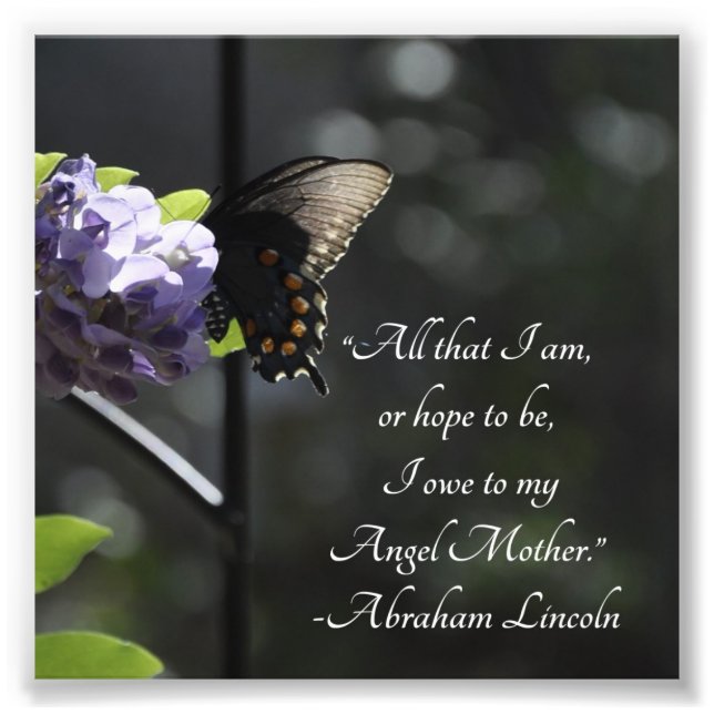 Butterfly and Flower To My Mother Lincoln Quote Photo Print (Front)