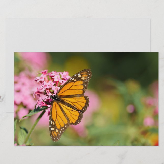 Butterfly and flowers scrapbook paper sheet (Front/Back)