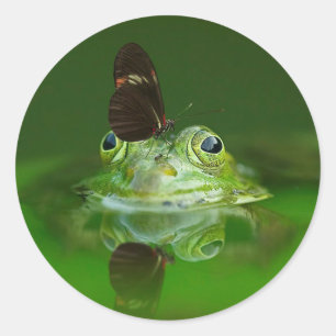 Butterfly and Frog Classic Round Sticker
