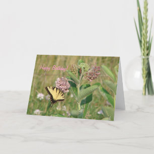 Butterfly and Milkweed Happy Birthday Card