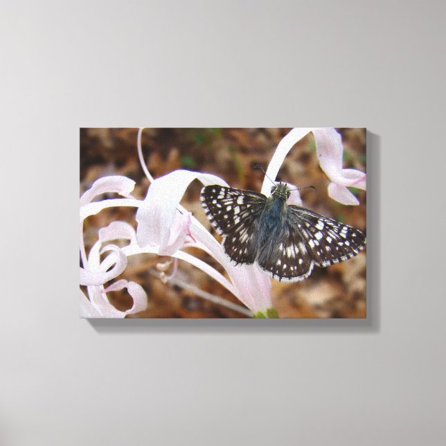 Butterfly and Pink Dancing Flower Canvas Print (Front)