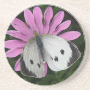Butterfly and Pink Flower Coasters