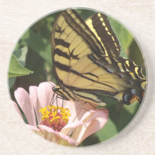 Butterfly and pink flower coasters