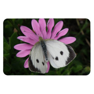 Butterfly and Pink Flower Premium Magnet