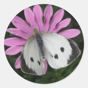 Butterfly and Pink Flower Stickers
