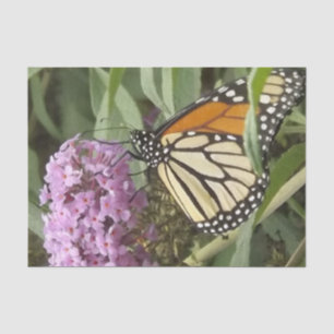 Butterfly and Purple Flower tissue paper