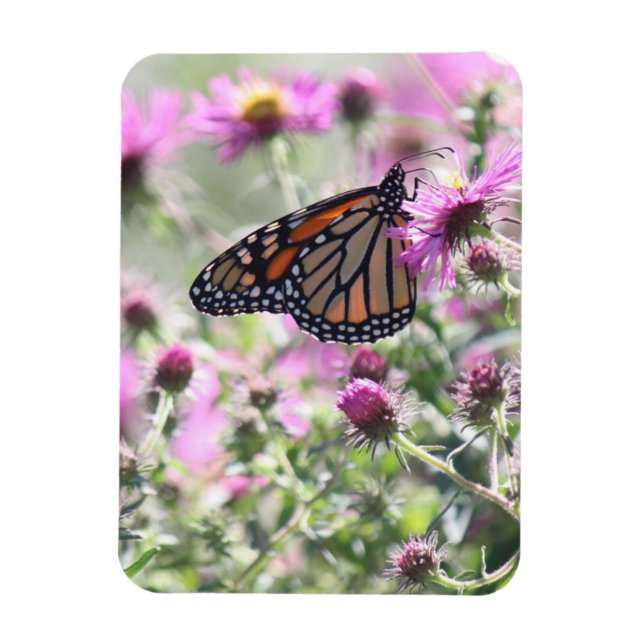 Butterfly and Purple Meadow Flowers Magnet (Vertical)