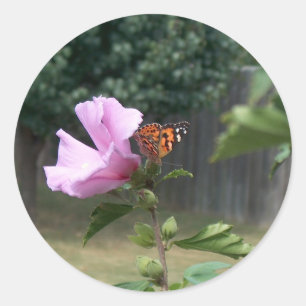 Butterfly and Rose of Sharon Classic Round Sticker