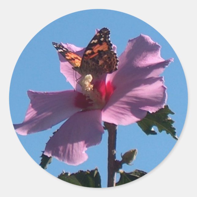 Butterfly and Rose of Sharon Classic Round Sticker (Front)