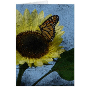 Butterfly and Sunflower