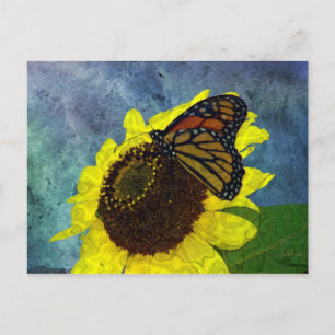 Butterfly and Sunflower Blue Background Postcard