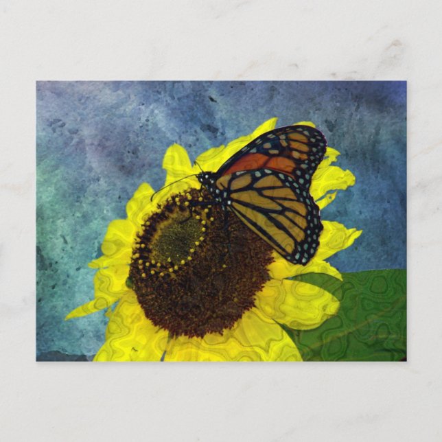 Butterfly and Sunflower Blue Background Postcard (Front)