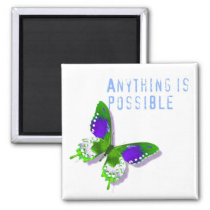 Butterfly Anything is Possible Magnet