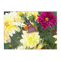 Butterfly Art