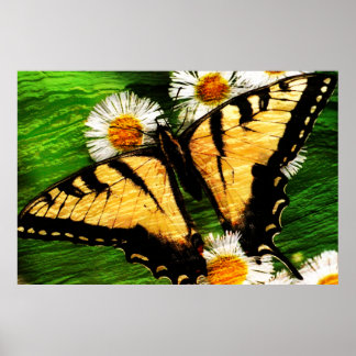 Butterfly Art 23 Print