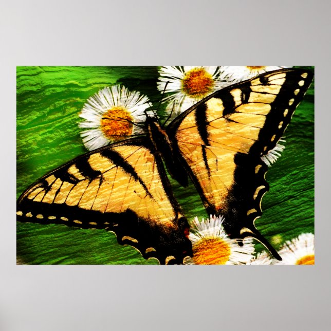 Butterfly Art 23 Print (Front)