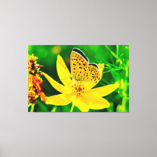 Butterfly Art 36 Wrapped Canvas