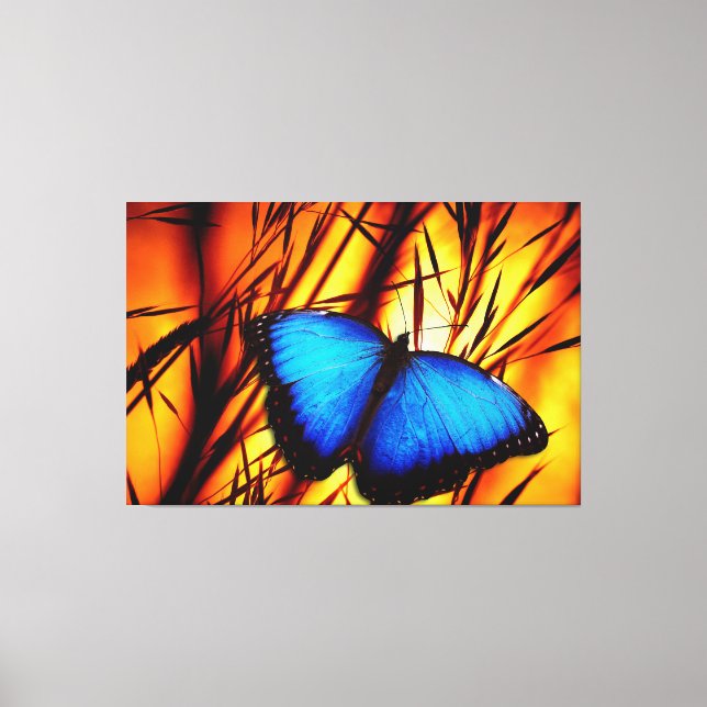 Butterfly Art 39 Options Canvas Print (Front)