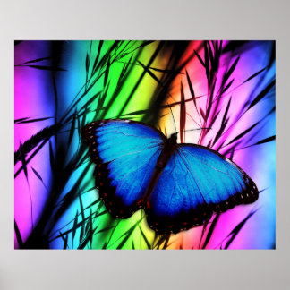 Butterfly Art 39 Options Posters
