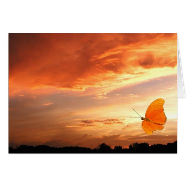 Butterfly at sunset (Front Horizontal)