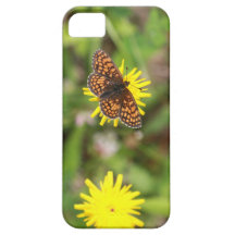 Butterfly - Beautiful!