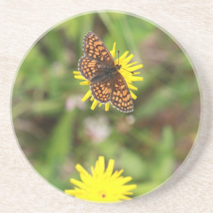 Butterfly - Beautiful! Coaster