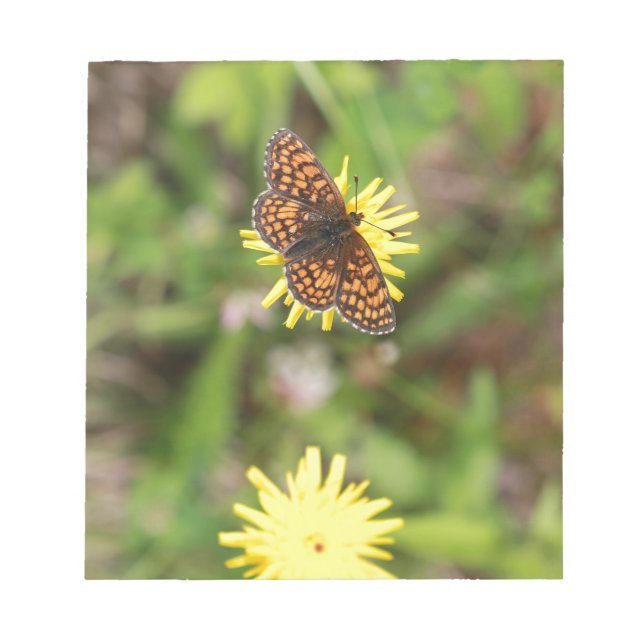 Butterfly - Beautiful! Notepad (Front)