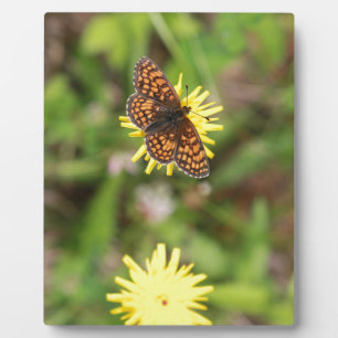 Butterfly - Beautiful! Plaque