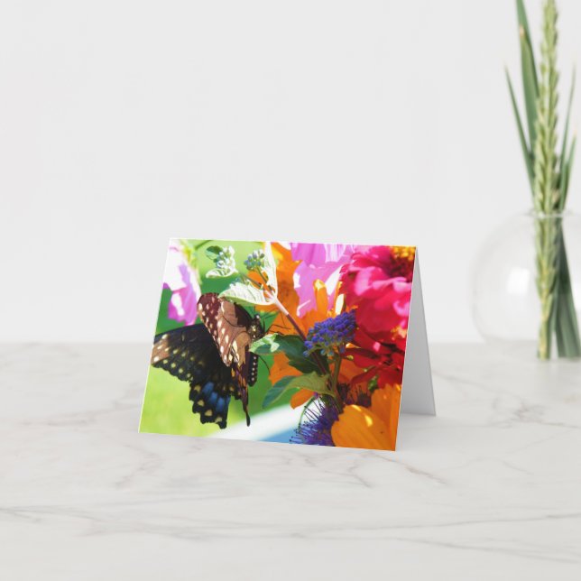 Butterfly Beauty Get Well Greeting Card (Front)