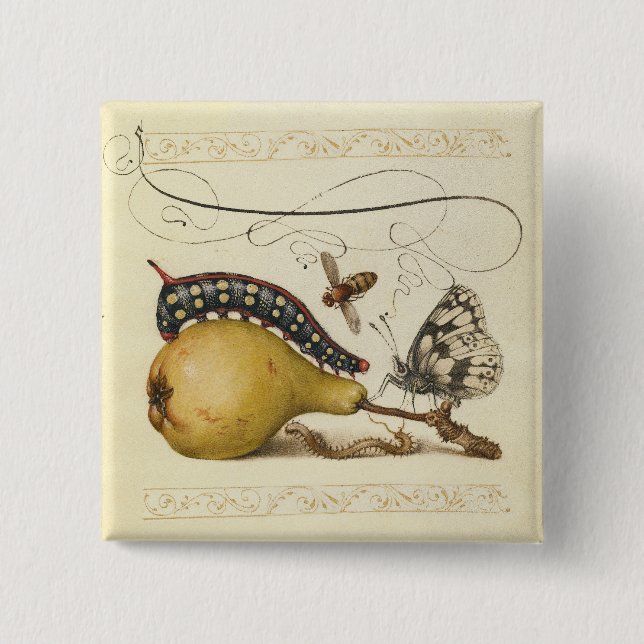 Butterfly Bee Fruit Insect Illustration 15 Cm Square Badge (Front)
