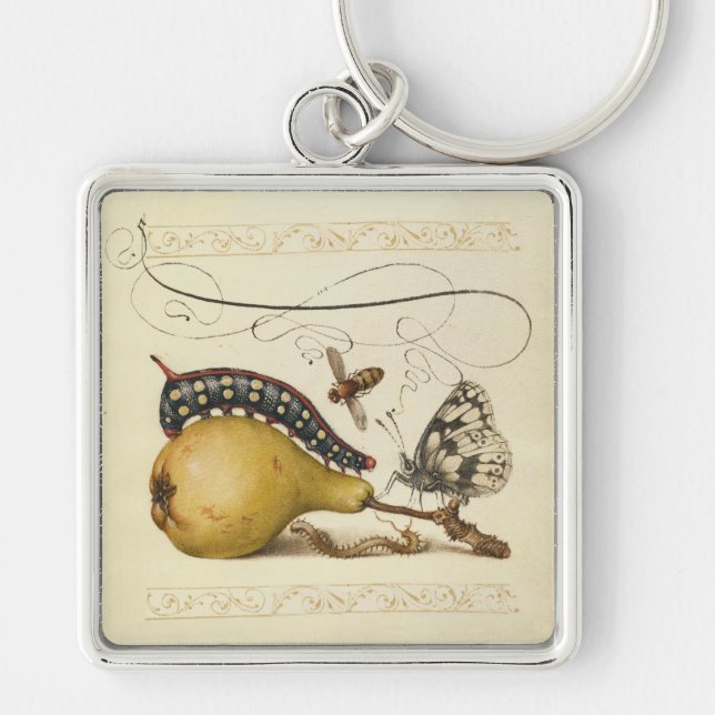Butterfly Bee Fruit Insect Illustration Key Ring (Front)